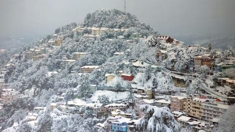 shimla