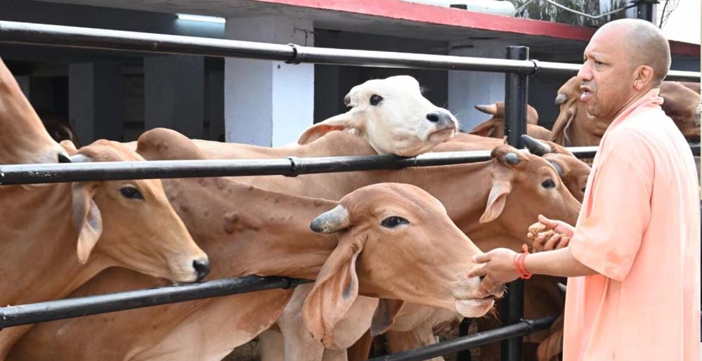 उत्तर प्रदेश गो सेवा आयोग और जर्मनी की प्रतिष्ठित संस्था के बीच समझौता ज्ञापन पर किए गए हस्ताक्षर
