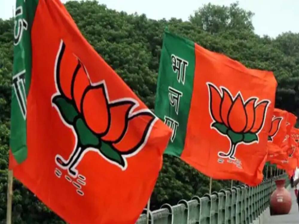 भाजपा में नई ऊर्जा का संचार: पदाधिकारियों के स्वागत समारोह में संगठन विस्तार का बड़ा संदेश