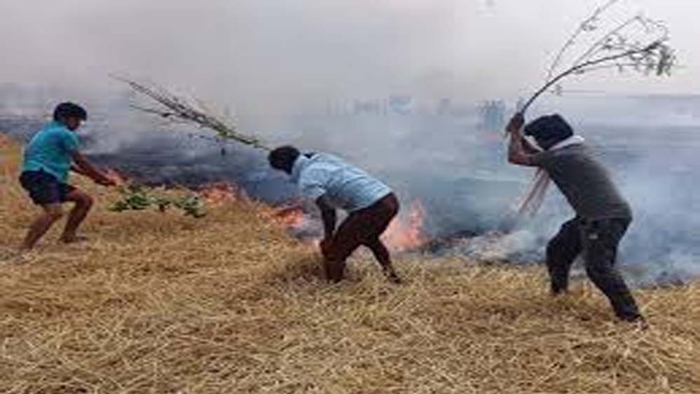 खलिहानों में आगजनी से बचाव के लिए कृषि विभाग ने किया किसानों से आग्रह