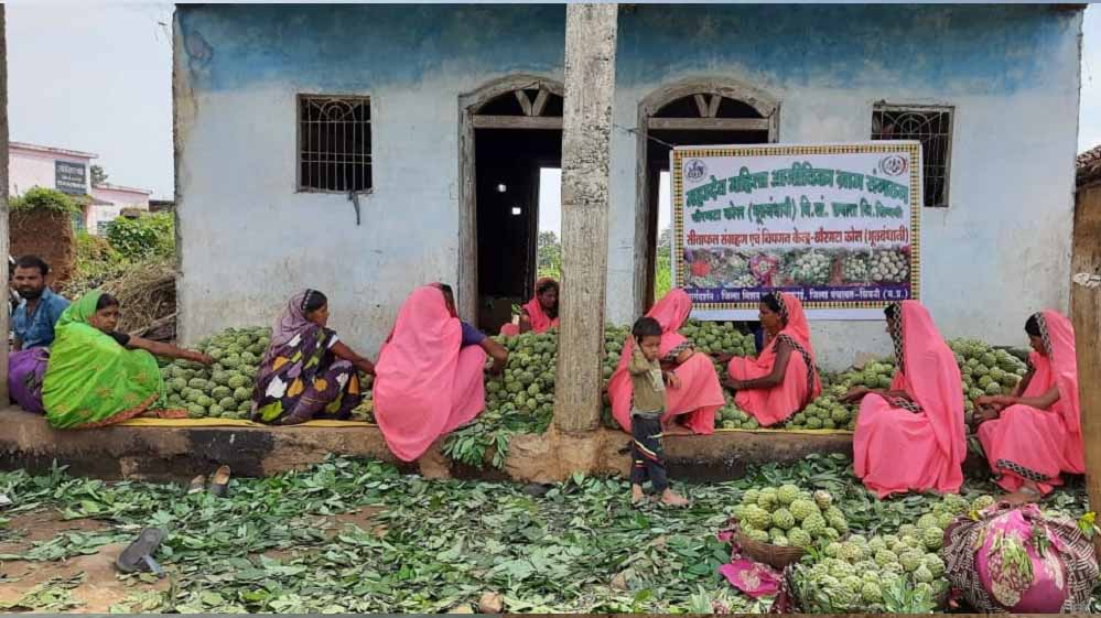 सीताफल उत्पादन और प्रसंस्करण से महिला समूहों की आर्थिक उन्नति