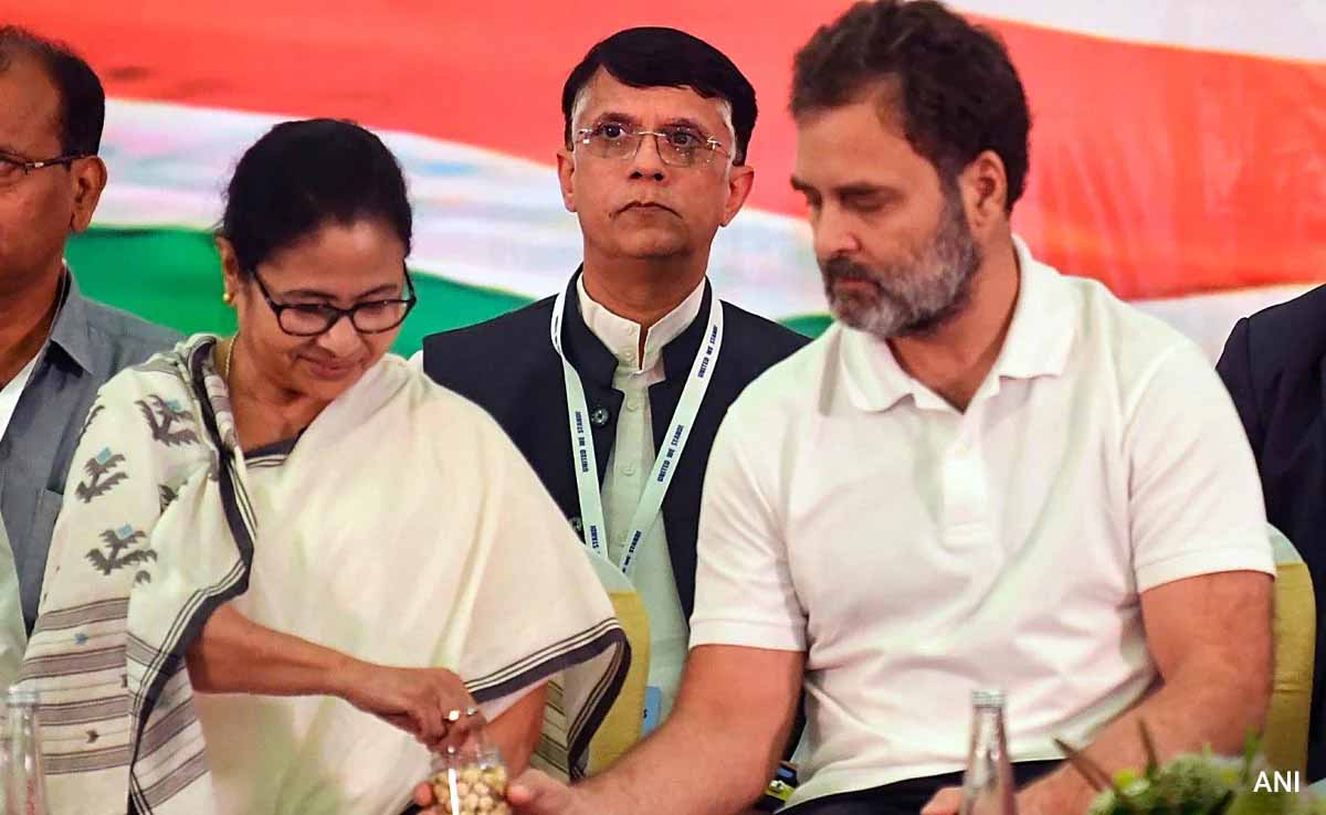 बंगाल में कांग्रेस का ‘जीरो’ प्रदर्शन तय? राहुल गांधी की कैंपेन रणनीति पर सवाल