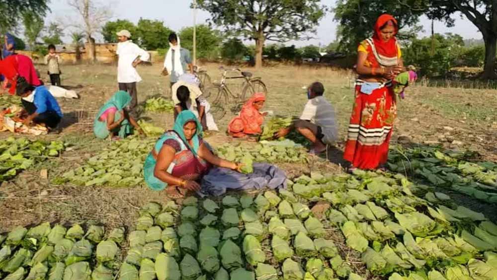 chhattisgarh news 03 3 1.jpg