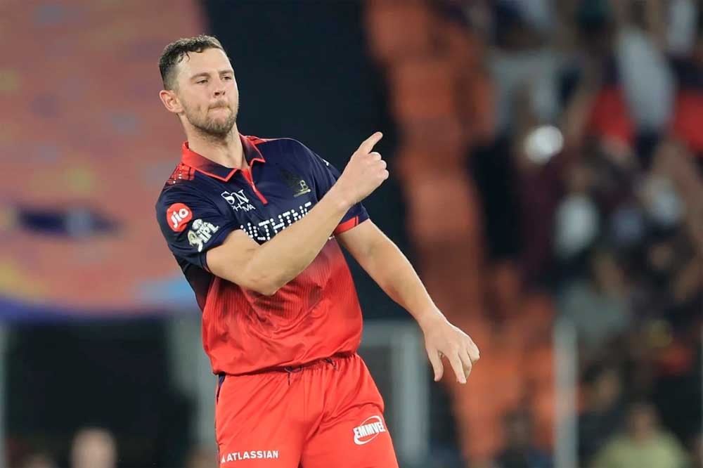 cricket 03 1.jpg