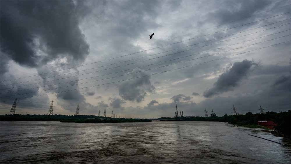मानसून को लेकर बस्तर में उम्मीदें बढ़ीं, तेज हवाएं तय करेंगी बारिश की आगे की रफ्तार