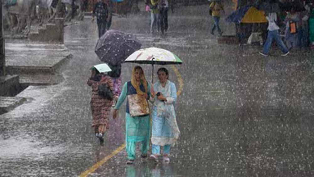 rain 3 2.jpg