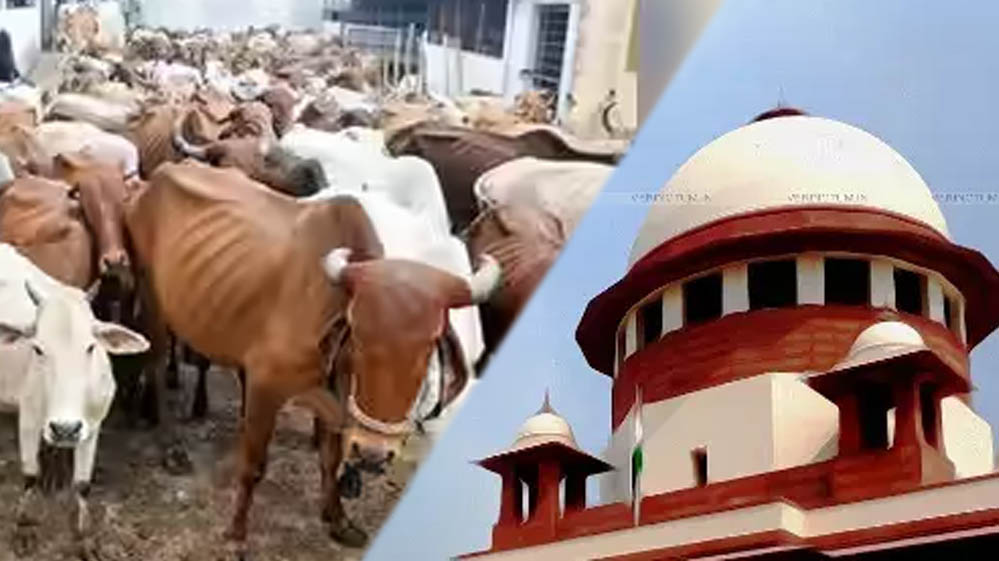 तमिलनाडु गौहत्या विवाद में सुप्रीम कोर्ट का हस्तक्षेप, राज्य सरकार की मांग को मिली राहत, HC का आदेश बदला