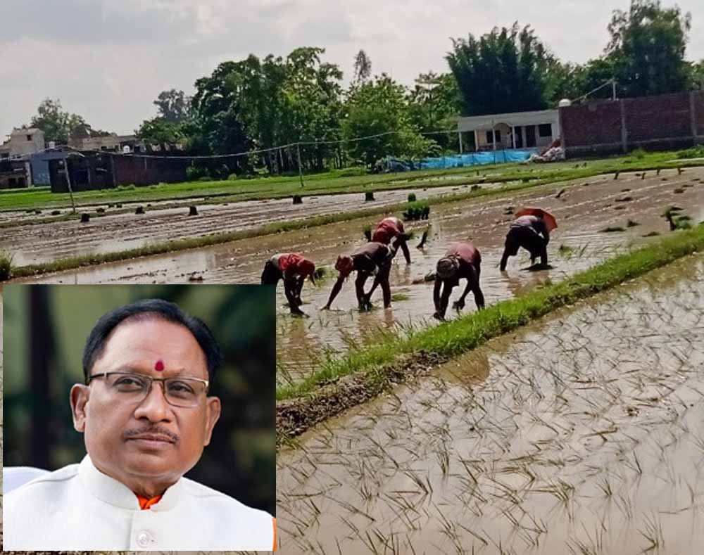 कमजोर मानसून के बीच CM साय का बड़ा संदेश, किसानों से बोले- बारिश के अनुसार करें खेती, सरकार देगी पूरा सहयोग