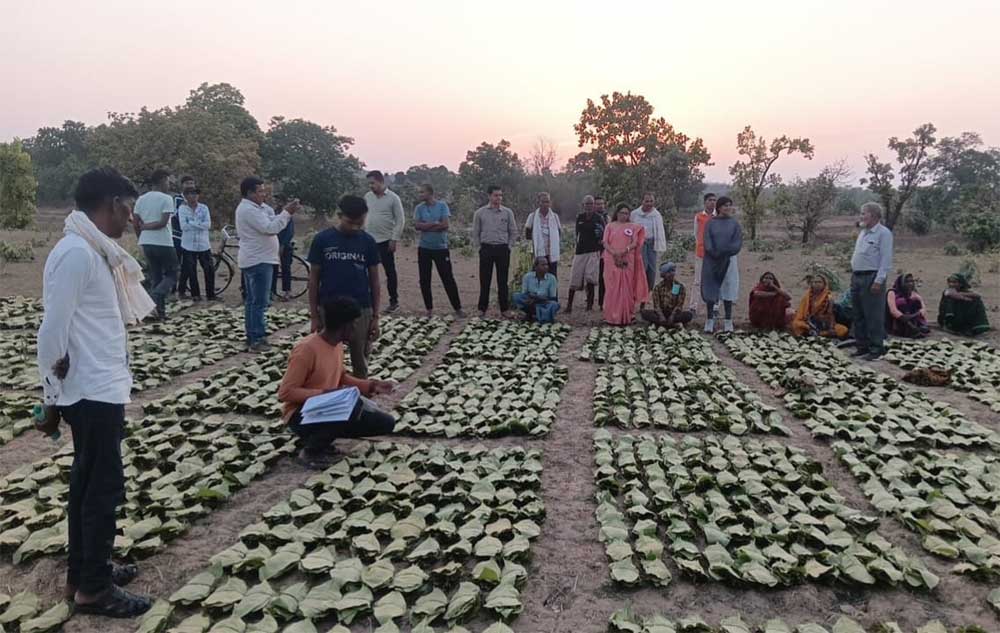 सुशासन का लाभ: तेन्दूपत्ता संग्राहकों को मिली आर्थिक मजबूती, करोड़ों की बोनस राशि हुई जारी