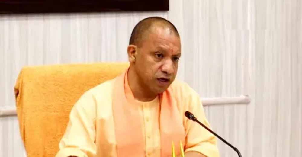 cm yogi 10 1.jpg