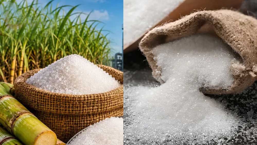 Sugar Price Hike: क्यों महंगी हुई चीनी? सरकार ने अल नीनो और रेड रॉट को बताया बड़ा कारण