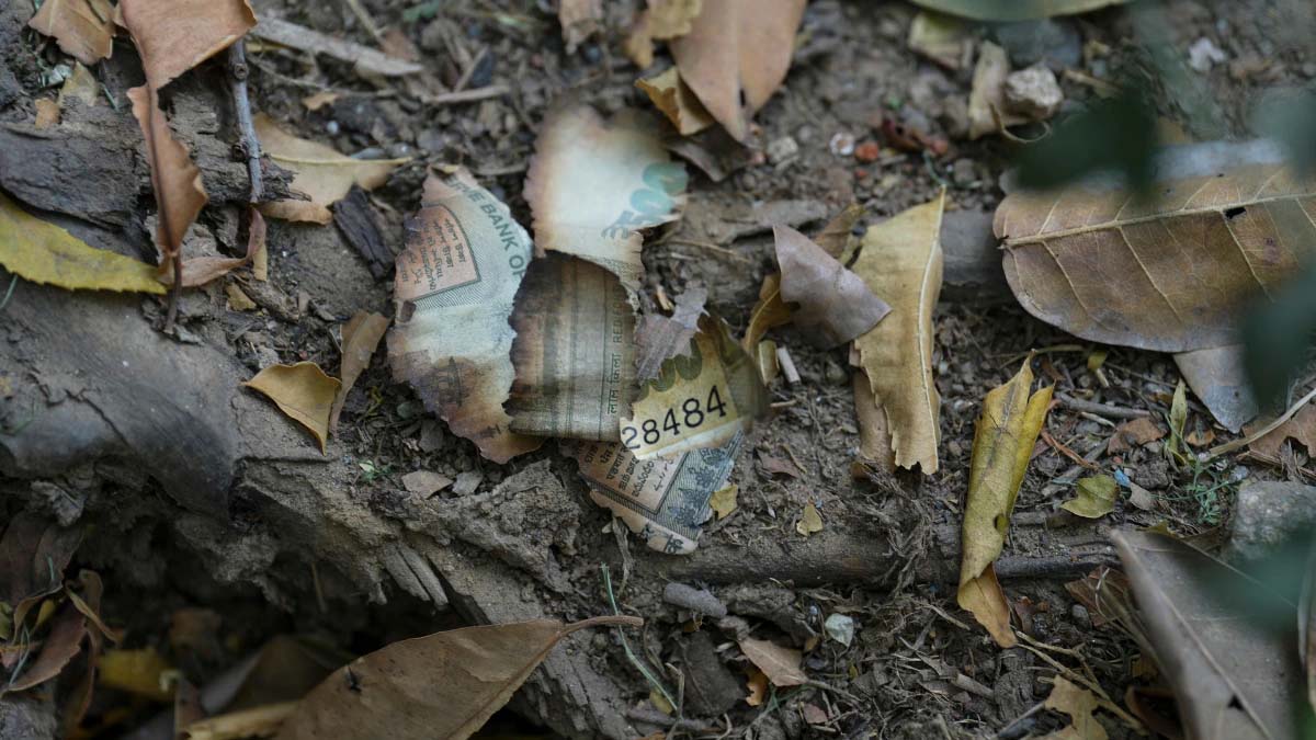 यशवंत वर्मा मामले में याचिका खारिज, कोर्ट ने पब्लिसिटी प्रयास बताया