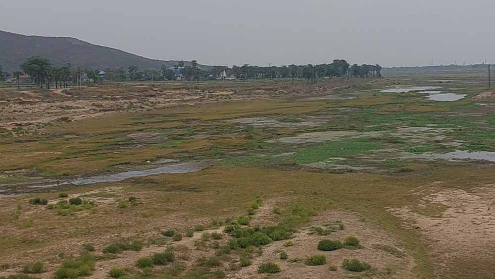 बारिश में 23% की कमी, हरियाणा में कमजोर मानसून का फसलों पर असर!