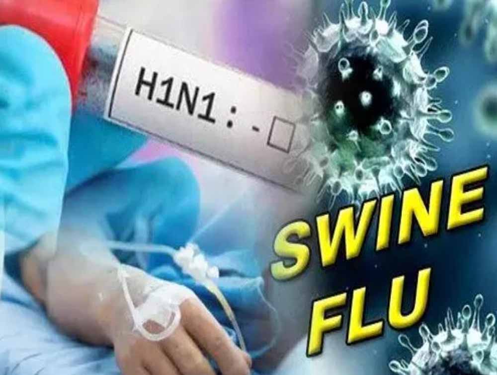 लुधियाना-पटियाला में स्वाइन फ्लू का असर, पंजाब में 347 मरीज सामने आए