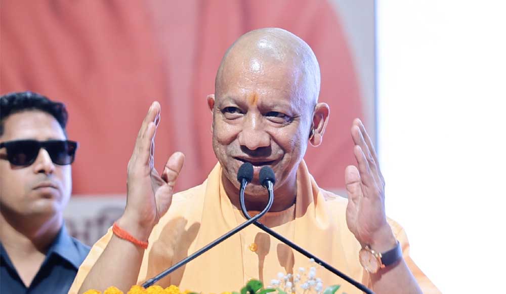 yogi 6.jpg