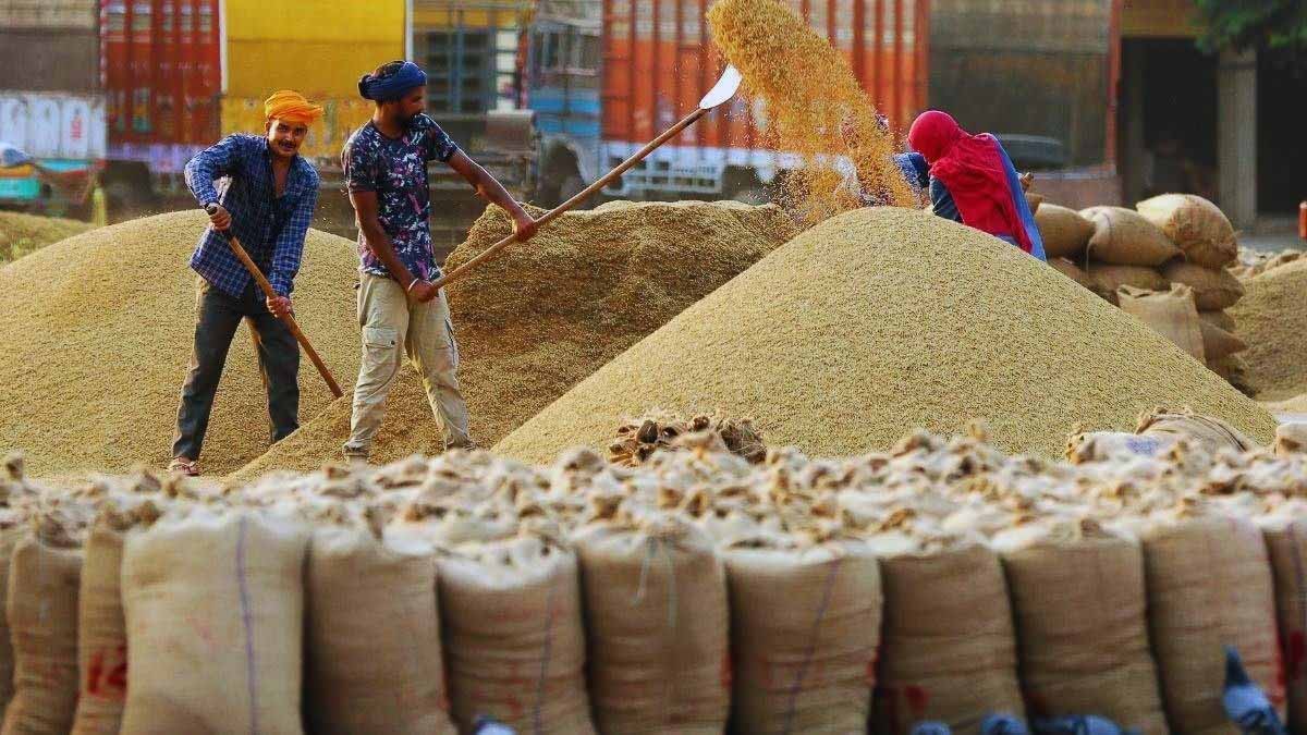 ओलावृष्टि से फसल बर्बाद होने पर किसानों को ₹50 हजार प्रति एकड़ मुआवजा देने की मांग, कर्ज माफी की भी अपील