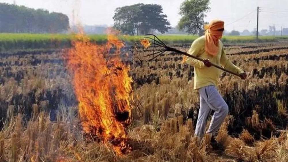 पराली जलाने से रोकने पर भड़के किसान, तरनतारन में अधिकारी पर हमला, 90 पर कार्रवाई