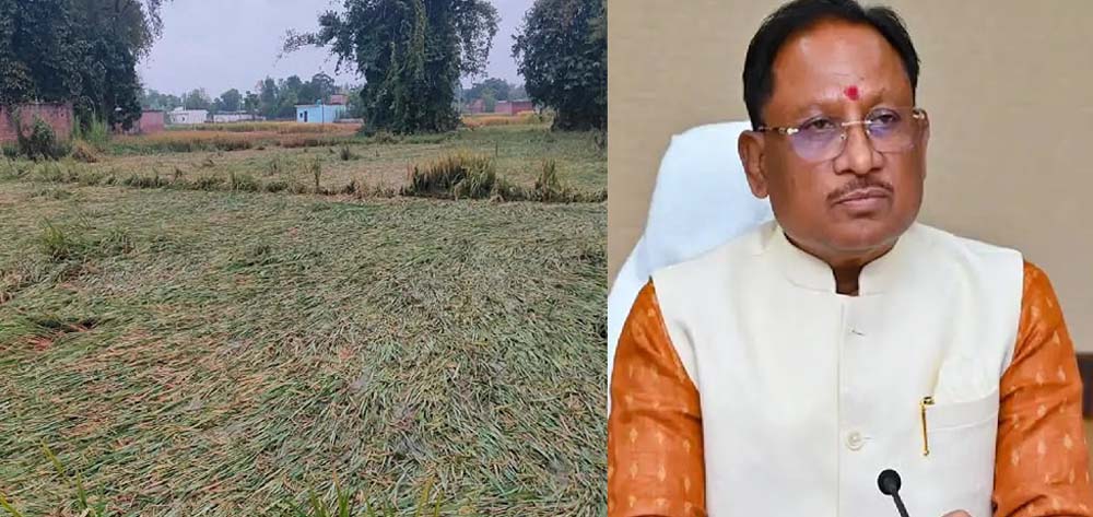 chhattisgarh news 16 2.jpg