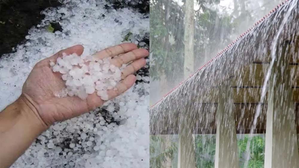 हरियाणा में बारिश-ओलावृष्टि से मौसम हुआ ठंडा, आज 5 जिलों में येलो अलर्ट
