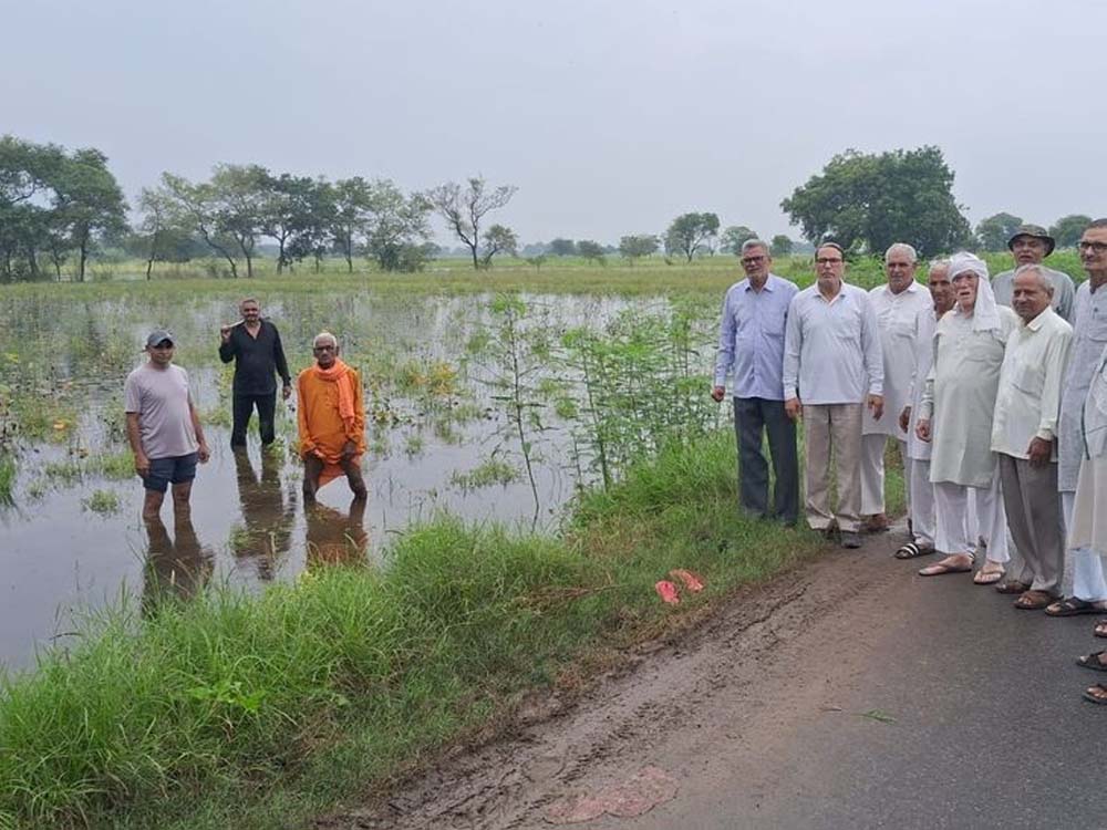 बारिश से हरियाणा में गिरा तापमान, जलभराव के चलते किसानों की बढ़ी चिंता