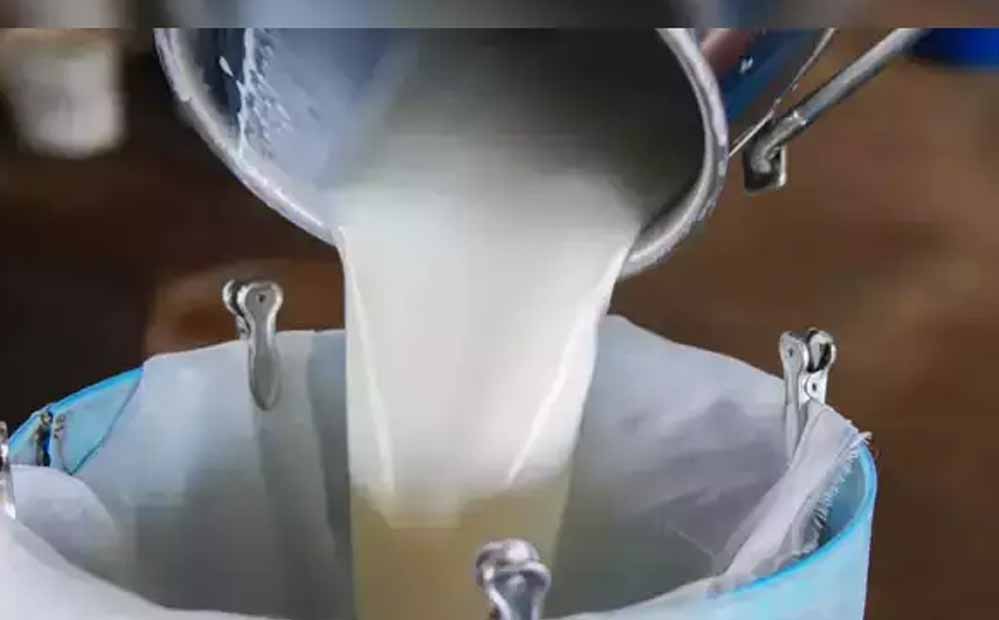 लुधियाना में दूध खरीदने वालों को झटका, ₹3 प्रति किलो महंगे होंगे दाम; डेयरी मालिक बोले- कीमत नहीं बढ़ाई तो कारोबार बंद करना पड़ेगा